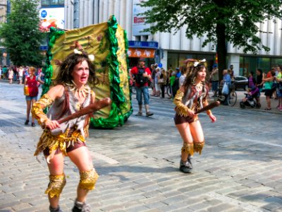 Floral Festival - Tampere 2016 photo