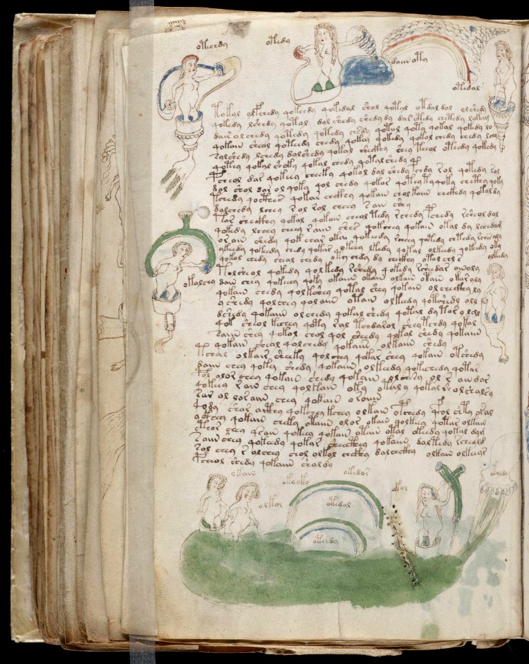 Voynich Manuscript (150)