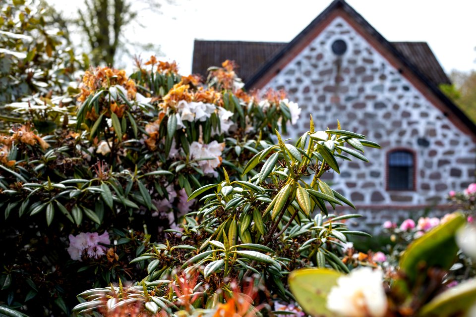 Bangsbo Museum, Frederikshavn