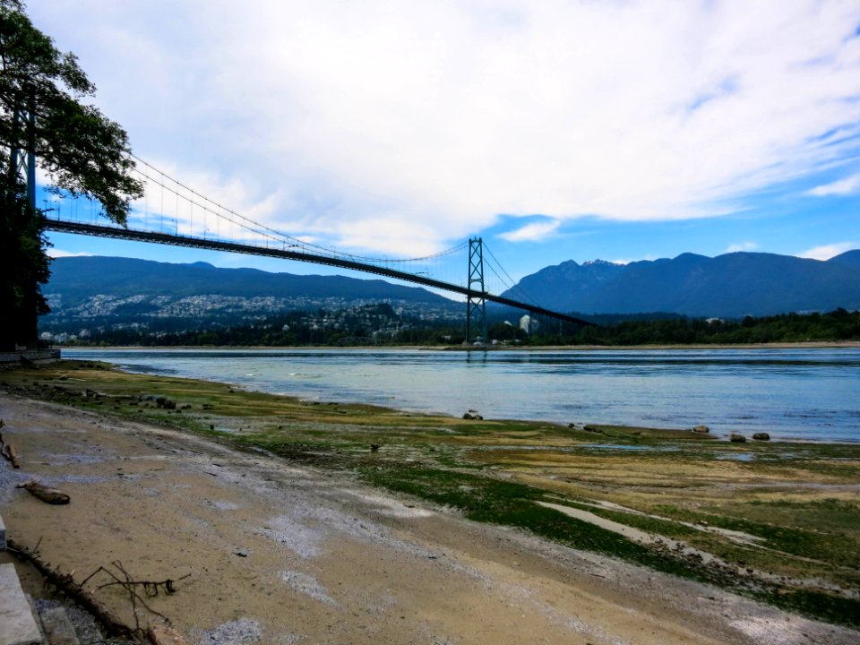Lion's Gate Bridge by Stanley Park