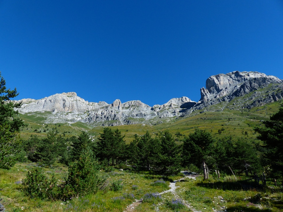Il cimonasso cimonasso cima delle colme