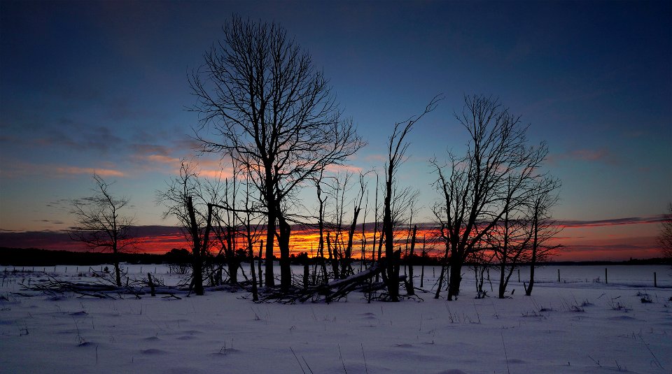 White Fields photo