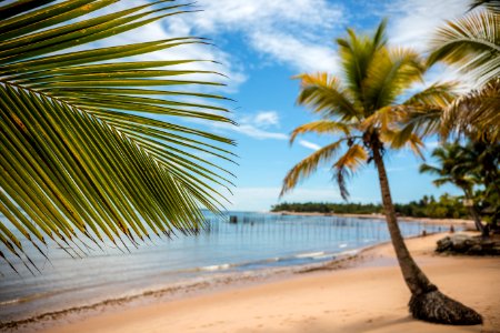 MARCIO FILHO  PRAIA DE BARRA GRANDE MARAU BAHIA