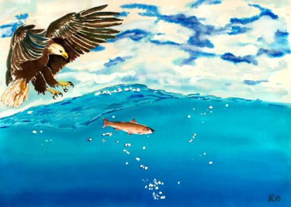 Aquarelle 18-50