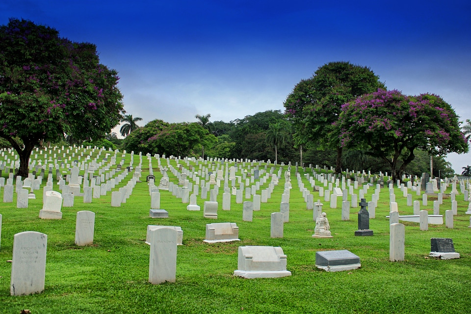 Headstones trees nature