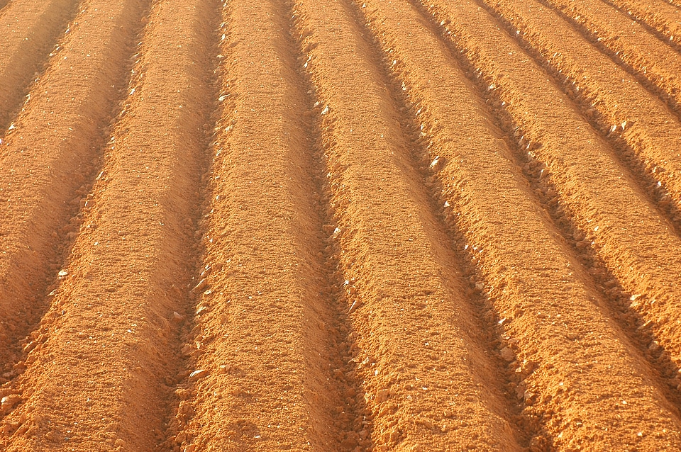 Farming field sulcus