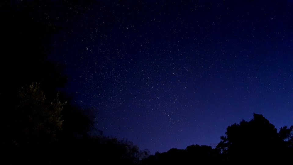 Night Sky photo