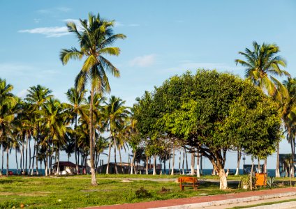 BRUNO LIMA PRAIA DE MARACAIPE IPOJUCA PE (3)