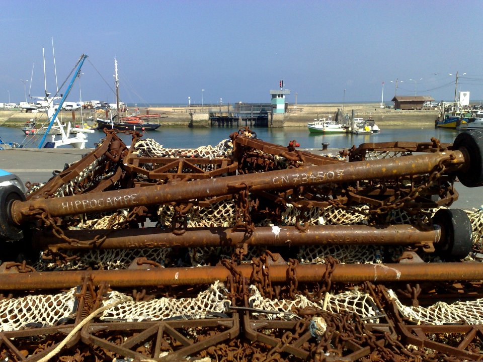 Scallop / Oyster Dredge  - Port de Grandcamp-Maisy - Normandy - France