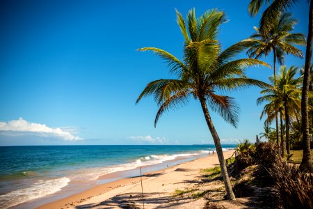 MARCIO FILHO  PRAIA DE ALGODOES MARAU BAHIA