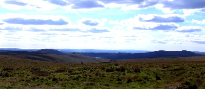 Dartmoor National Park , Devon, UK photo