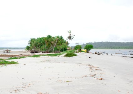 WalberMoura CoroaDoAviao IlhaDeItamaraca PE