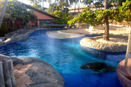 Gleidson Santos Praia do Forte Projeto Tamar Mata de Sao Joao BA