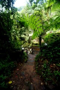 DeniseRicardo Parque Nacional Serra Dos Orgaos Teresopolis RJ