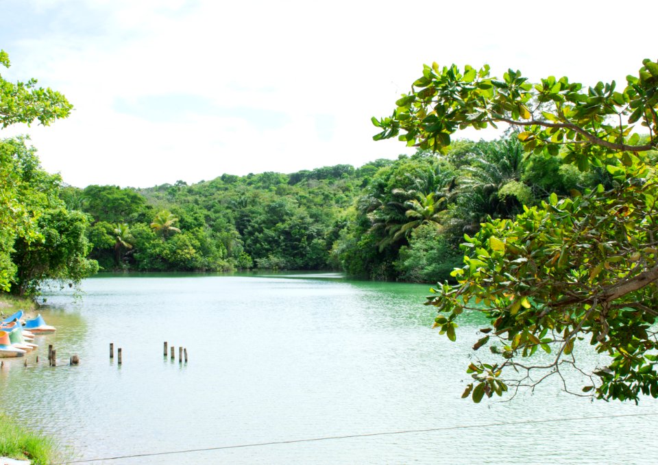 WalberMoura LagoaAzul IlhaDeItamaraca PE