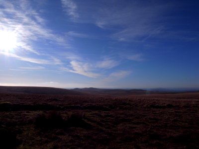 Dartmoor Raven