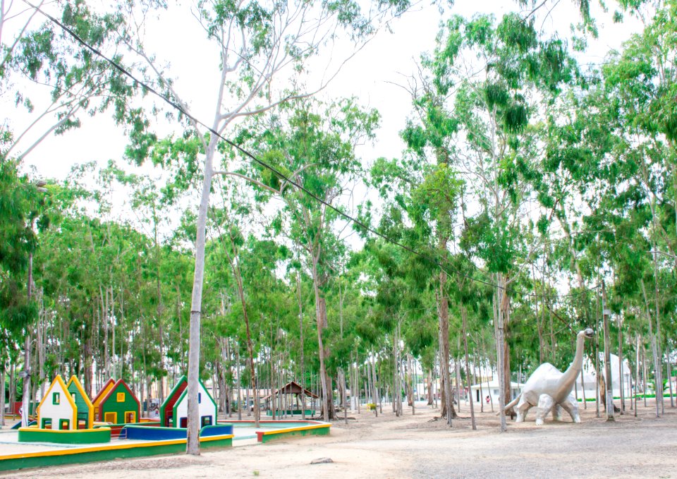 WalberMoura ParqueDosEucaliptos Garanhuns PE