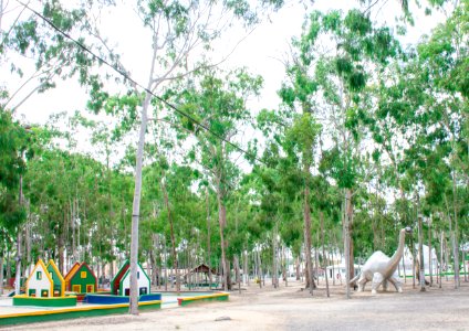 WalberMoura ParqueDosEucaliptos Garanhuns PE