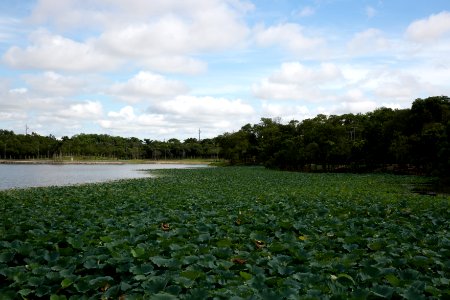 FlavioAndre ParqueDasAguas Cuiaba MT photo