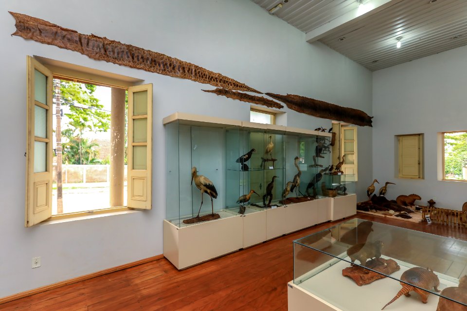 KikoSierich MuseuSeteQuedas Guaira Parana