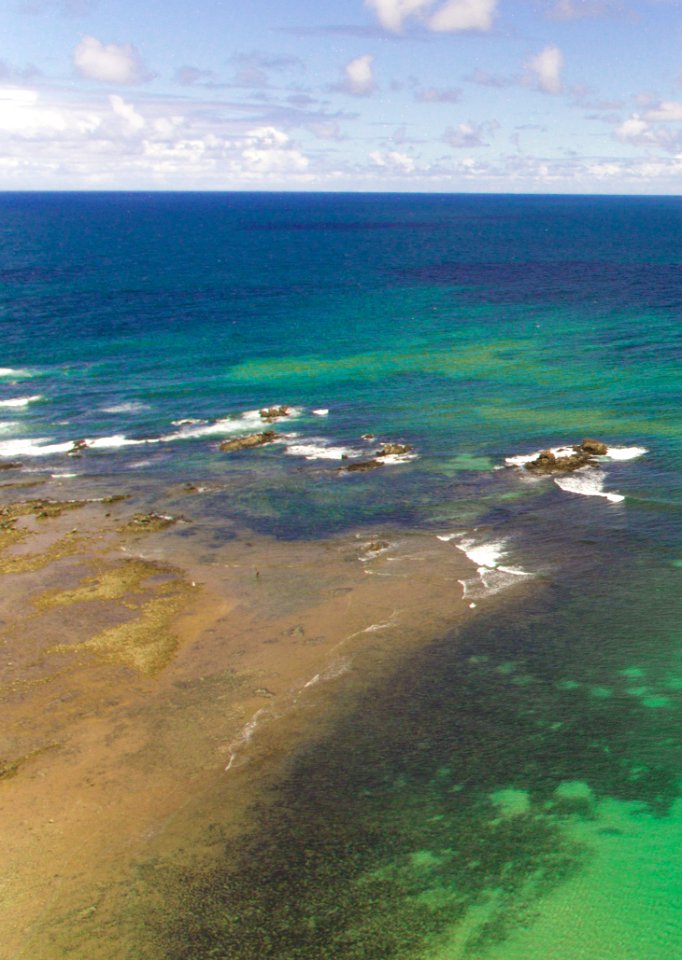 MARCIO FILHO PRAIA DE ITAPUA SALVADOR BAHIA  (2)