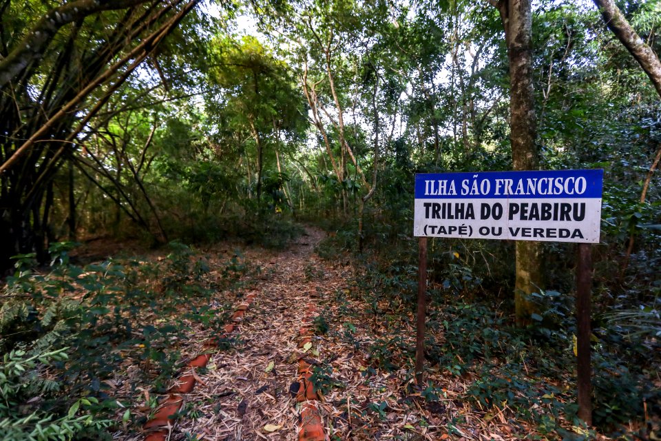 KikoSierich TrilhaEcologicadeSaoFrancisco Guaira Paraná4