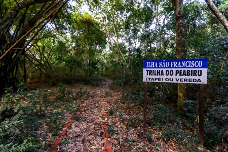 KikoSierich TrilhaEcologicadeSaoFrancisco Guaira Paraná4