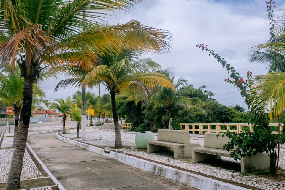 BrunaBrandao OrladoMacarico Salinopolis PA