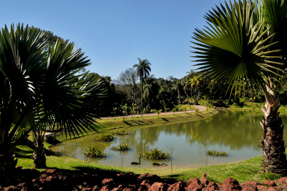 PedroVilela Inhotim Brumadinho MG
