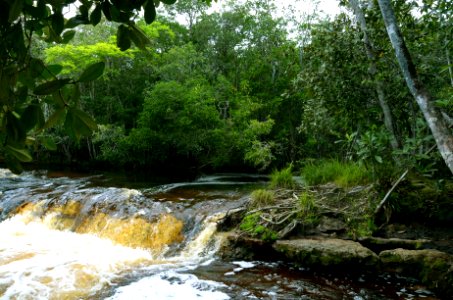 MarioOliveira Cachoeira das Lajes Presidente Figueiredo AM photo