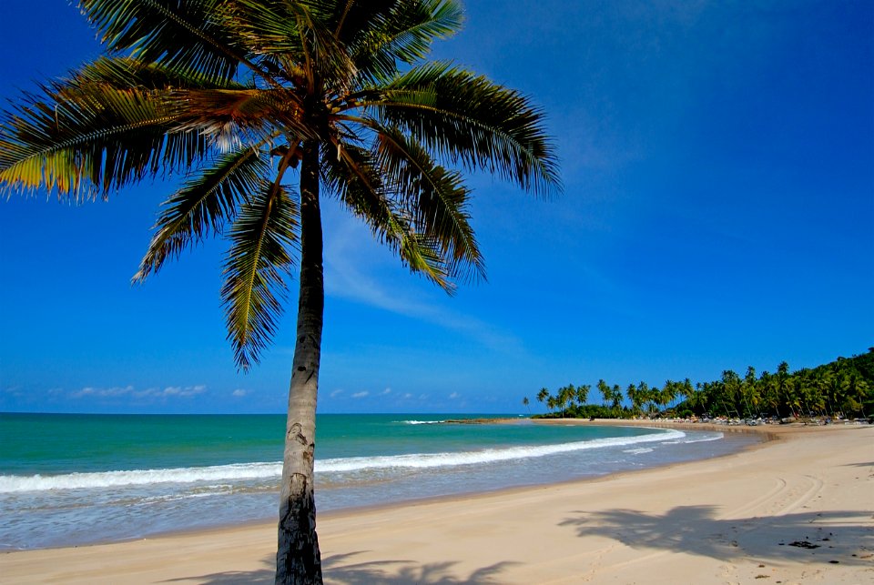 CacioMurilo PraiaCoqueirinho Conde PB