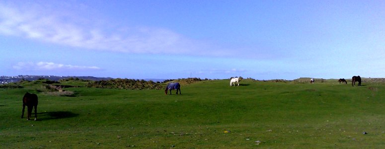 NORTHAM BURROWS - WESTWARD HO ! - NORTH DEVON - UK