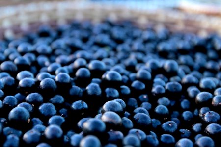 MarciaDoCarmo Gastronomia caroco de acai Macapa AP