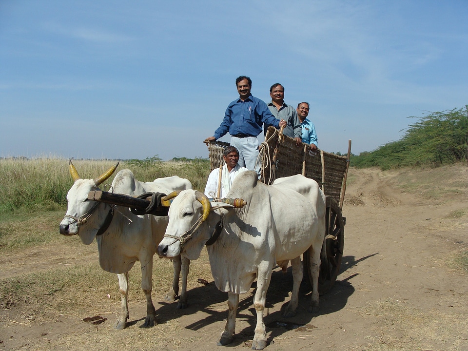 Men people transportation