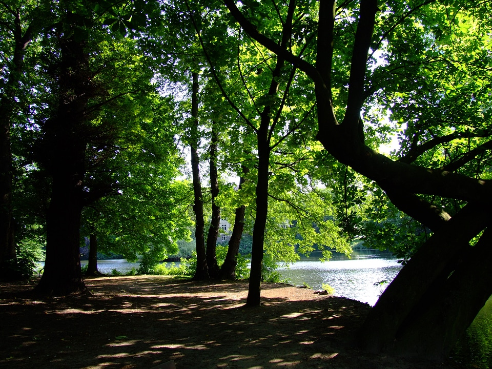 Idyll rest recovery
