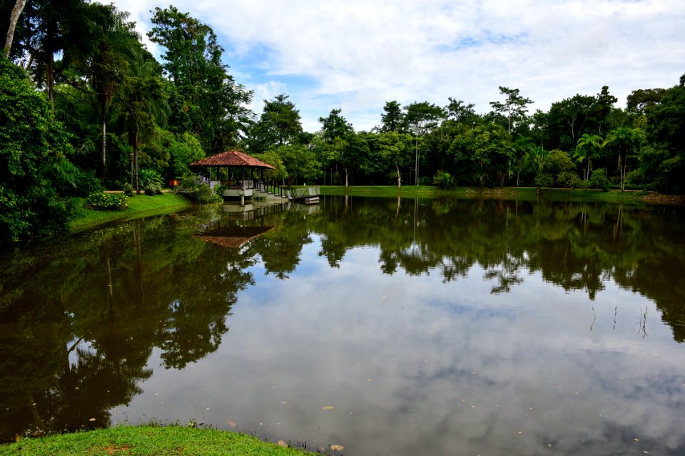 Assis Lima  Horto Florestal  Rio Branco AC