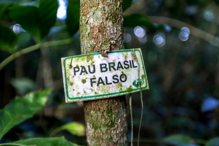 KikoSierich TrilhaEcologicadeSaoFrancisco Guaira Paraná