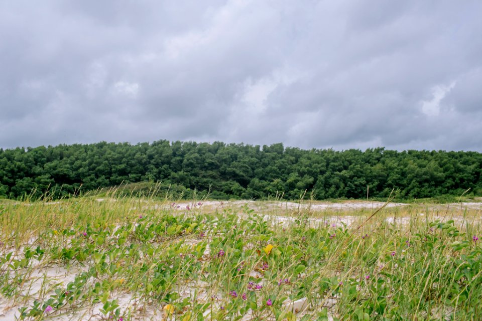 BrunaBrandao PraiadaCorvina Salinopolis PA6