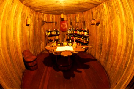 Renato Soares Vinicola Aurora Bento Goncalves RS (15)