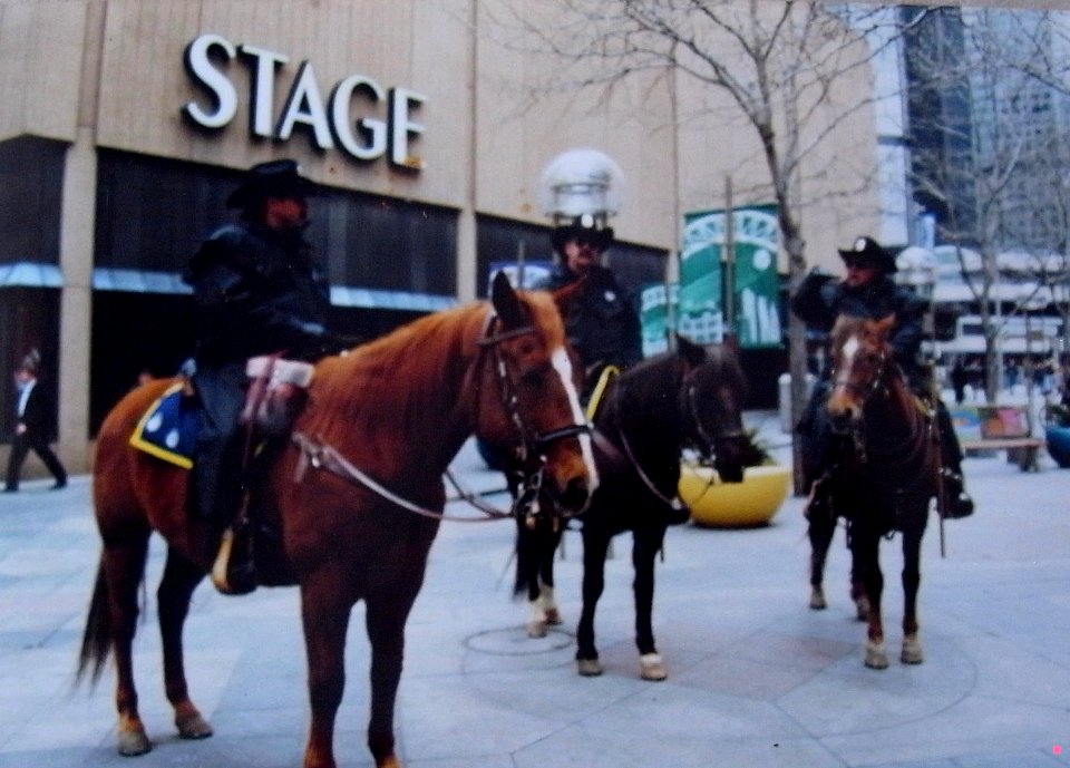 MOUNTED POLICE - BOULDER - COLORADO - USA