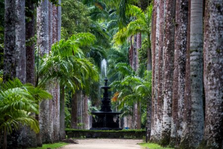 BrunaPrado Jardim Botanico Rio de Janeiro RJ photo