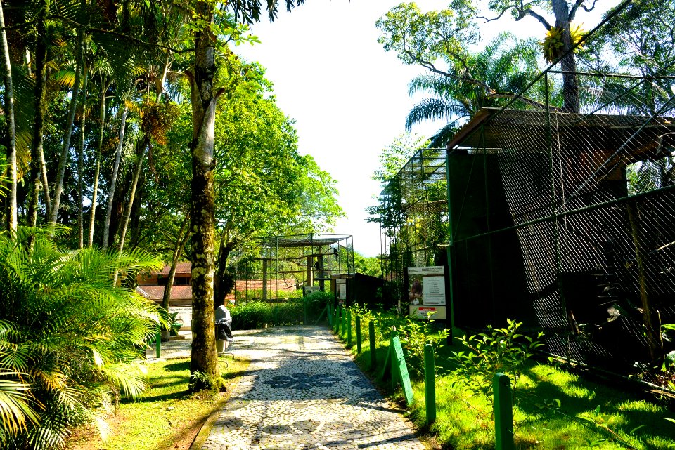 RenatoSoares Parque Leopoldo Moritz Museu Zoobotânico Brusque SC