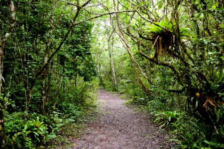 DanielVianna Parque Nacional Rio da Onca Matinhos PR