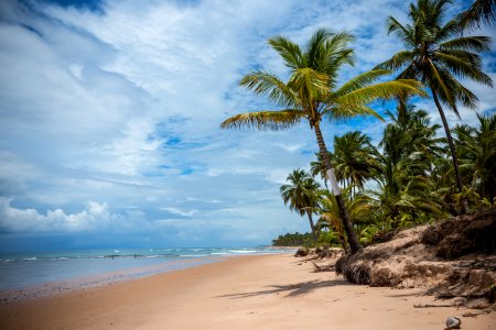 MARCIO FILHO  PRAIA TAIPUS DE FORA  MARAU BAHIA