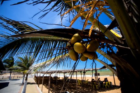 VitorJubini PraiadaBarra ConceicaodaBarra ES