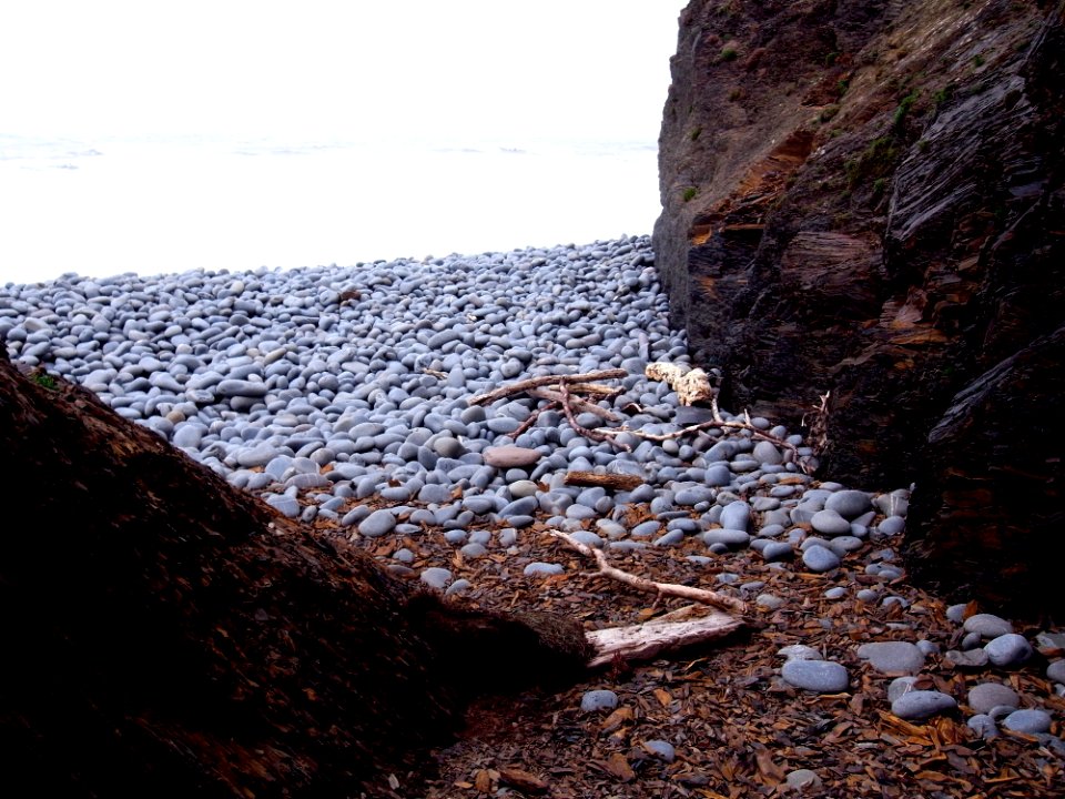 ABBOTSHAM CLIFFS - NORTH DEVON - UK (2)
