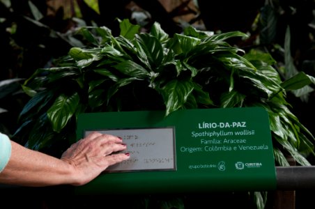 RenatoSoares JardimBotanico Curitiba PR