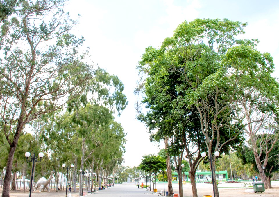 WalberMoura ParqueDosEucaliptos Garanhuns PE