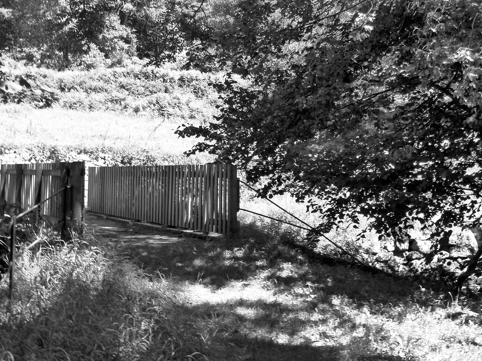 Prairie black and white ari̬ge