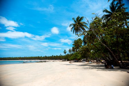 MARCIO FILHO PONTA DE CASTELHANOS BOIPEBA BAHIA